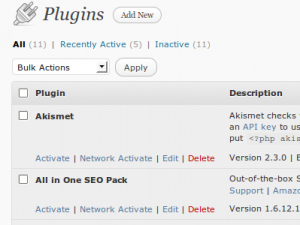 wordpress 3.0 multisite plugin setup wordpress 3.0 multisite plugin setup