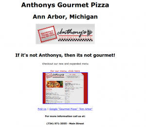 ann arbor pizza small business website
