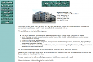 ann arbor lawyer small business website
