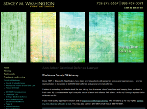 ann arbor lawyer small business website