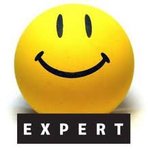 wordpress expert