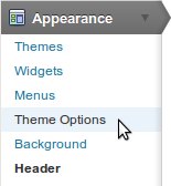 2011-wp-theme-options 2011-wp-theme-options