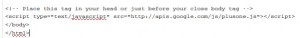 google-+1-button-wordpress