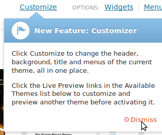 WordPress theme customizer