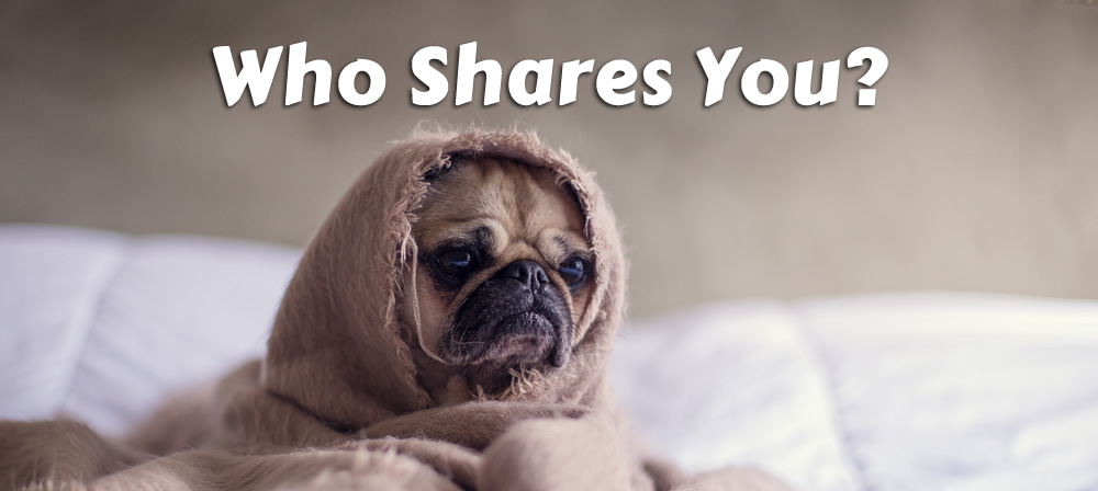 Who Shares Your Blog Posts?