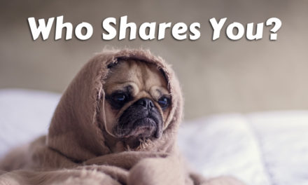 Who Shares Your Blog Posts?